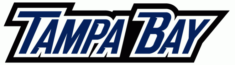 Tampa Bay Lightning 2007-2010 Wordmark Logo fabric transfer